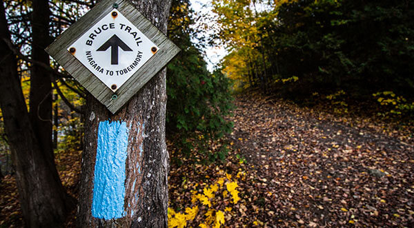 bruce trail hiking