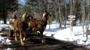 ontario maple syrup festivals